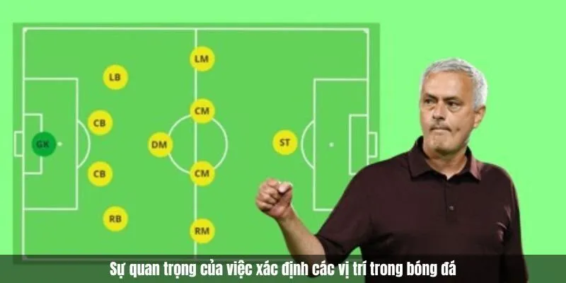Tầm Quan Trọng Của Các Vị Trí Trong Đội Hình Bóng Đá