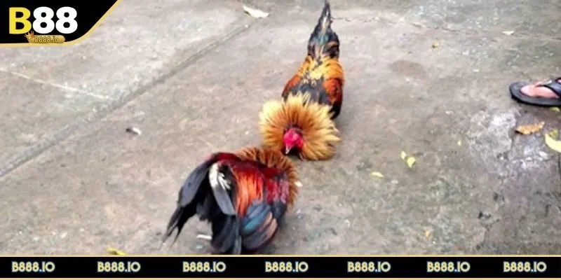 luat-da-ga-tre-xu-ly